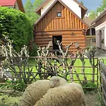 Tatil Evi Chalupa Strba Štrba