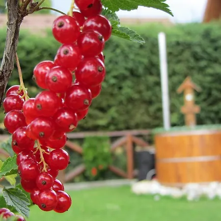 Chalupa Strba Štrba