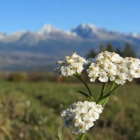 別荘 Chalupa Strba Štrba
