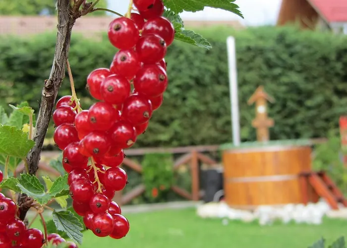 Chalupa Strba Štrba